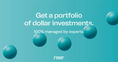 Risevest investment in dollars